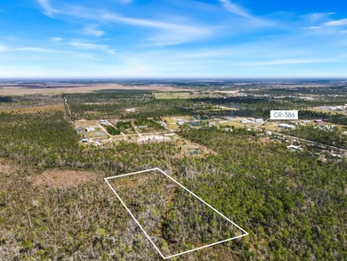 Discover the perfect opportunity to own 5 acres of raw land in - photo 2