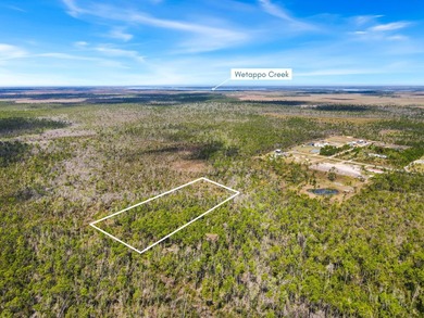Discover the perfect opportunity to own 5 acres of raw land in - photo 3