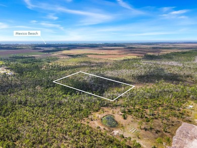 Discover the perfect opportunity to own 5 acres of raw land in - photo 4