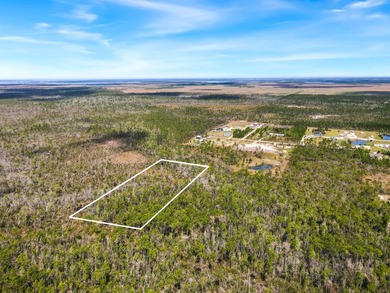 Discover the perfect opportunity to own 5 acres of raw land in - photo 5