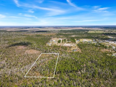 Discover the perfect opportunity to own 5 acres of raw land in - photo 6