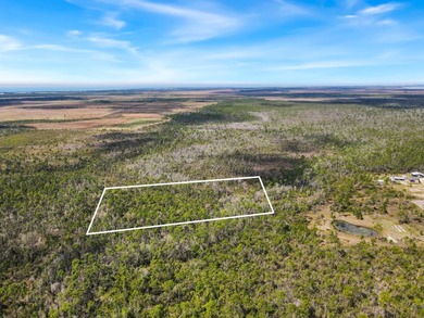 Discover the perfect opportunity to own 5 acres of raw land in - photo 7