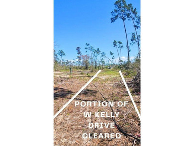 Discover the perfect opportunity to own 5 acres of raw land in - photo 8