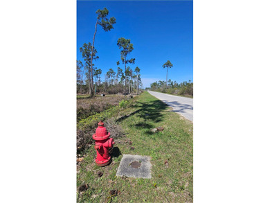 Discover the perfect opportunity to own 5 acres of raw land in - photo 9