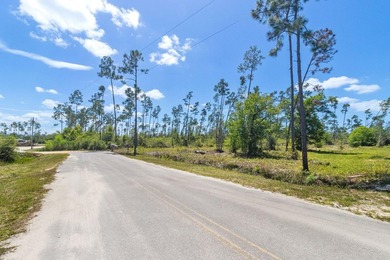 Discover the perfect opportunity to own 5 acres of raw land in - photo 10