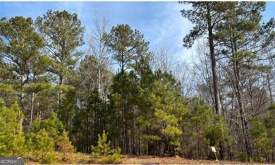 Lake Acreage For Sale in Buckhead, Georgia