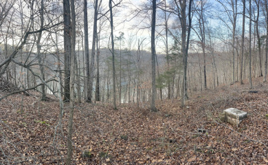 2 Unrestricted Lake Cumberland Lake View, Lake Front Acres - photo 5