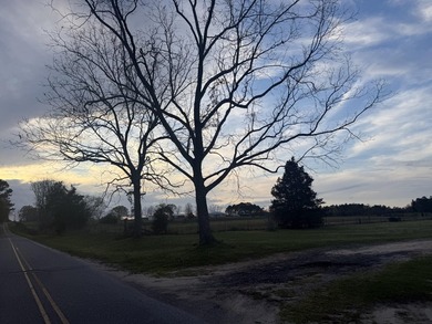 (private lake, pond, coastal) Acreage For Sale in Laurel Hill Florida