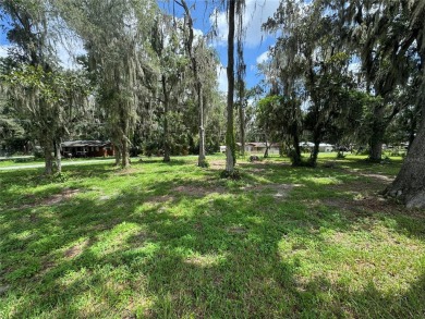 Lake Lot For Sale in Lake Panasoffkee, Florida