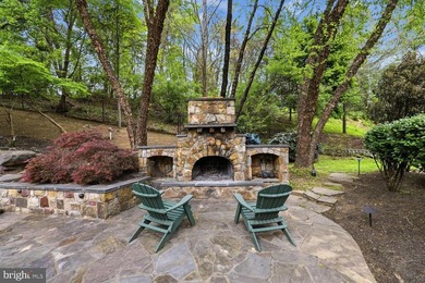 OPEN Saturday 6/28  1-3 PM  DON'T MISS 3D TOUR AND FLYOVER - photo 30