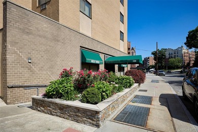 Welcome to 100 E Hartsdale Avenue - a spacious and beautifully - photo 3