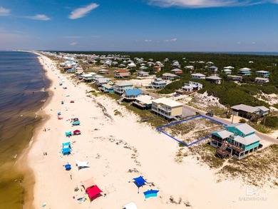 Rare GULF-FRONT opportunity! Transferable Beach Mouse - photo 5