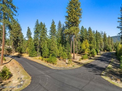 Last lot in Fernan Lake Estates! This beautiful countryside - photo 12
