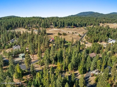Last lot in Fernan Lake Estates! This beautiful countryside - photo 14