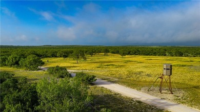 Located in Live Oak County just outside George West, Texas, off - photo 21