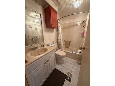 Turn-Key Home. Quiet and safe, 55+, No pets, Zero Flood Zone - photo 21