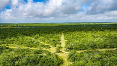 Located in Live Oak County just outside George West, Texas, off - photo 25