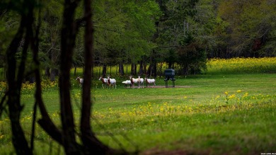 Twisted L Ranch is a premier 260 acre high-fence recreational - photo 32