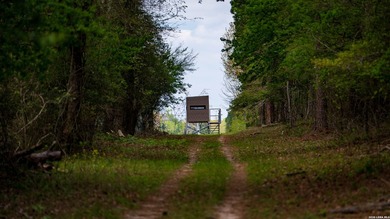 Twisted L Ranch is a premier 260 acre high-fence recreational - photo 34
