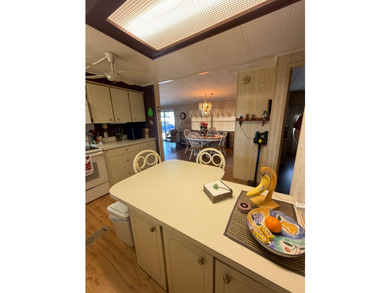 Turn-Key Home. Quiet and safe, 55+, No pets, Zero Flood Zone - photo 35
