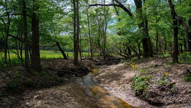 Twisted L Ranch is a premier 260 acre high-fence recreational - photo 35