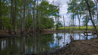 Twisted L Ranch is a premier 260 acre high-fence recreational - photo 38