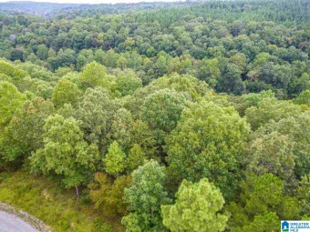 Lake Lot Off Market in Addison, Alabama