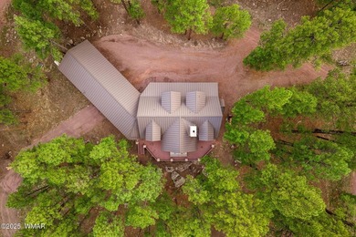 Stunning 3-Bedroom Chalet Retreat in Alpine, Arizona Presenting - photo 42