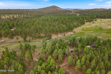 Stunning 3-Bedroom Chalet Retreat in Alpine, Arizona Presenting - photo 43