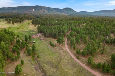 Stunning 3-Bedroom Chalet Retreat in Alpine, Arizona Presenting - photo 44