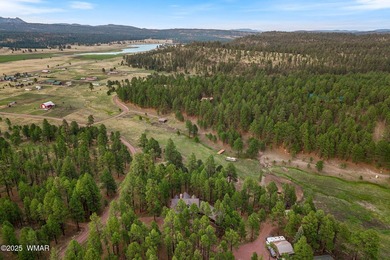 Stunning 3-Bedroom Chalet Retreat in Alpine, Arizona Presenting - photo 46