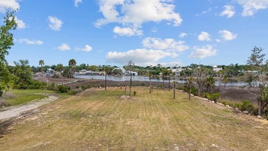 If you've been looking for a good piece on the Steinhatchee - photo 1