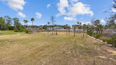 If you've been looking for a good piece on the Steinhatchee - photo 6