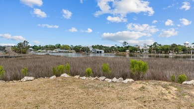 If you've been looking for a good piece on the Steinhatchee - photo 7