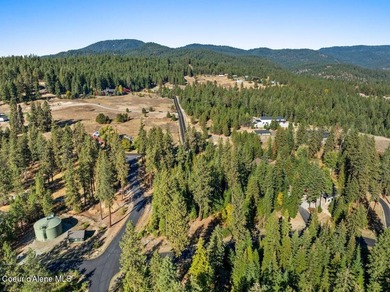 Stunning Single-Level Home with Bonus Suite in Gated Community - - photo 57