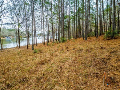 Rare opportunity to own a private, Lakefront, estate lot in - photo 11