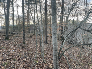 2 Unrestricted Lake Cumberland Lake View, Lake Front Acres - photo 6