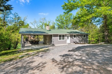 Lake Home For Sale in New Tazewell, Tennessee