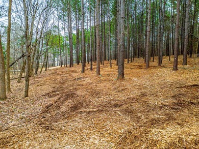 Rare opportunity to own a private, Lakefront, estate lot in - photo 21