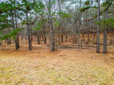 Rare opportunity to own a private, Lakefront, estate lot in - photo 25