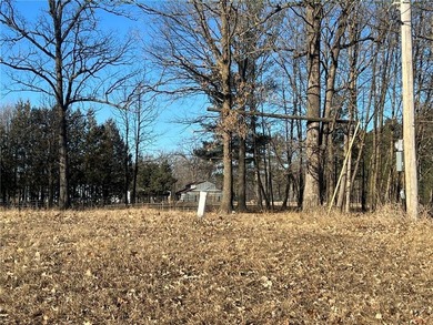 Build the home you've always imagined on this pristine, cleared - photo 4