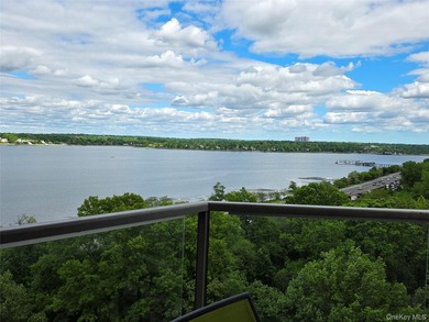 Rare Opportunity Luxury Coop Centrally Located. High Floor Move - photo 1