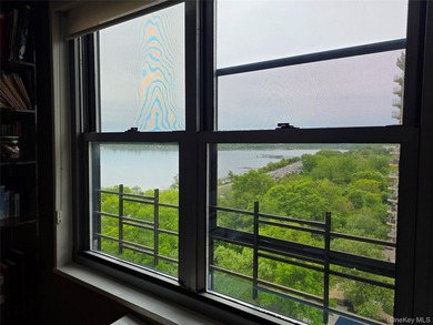 Rare Opportunity Luxury Coop Centrally Located. High Floor Move - photo 10