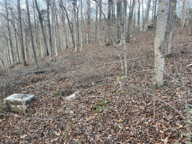 2 Unrestricted Lake Cumberland Lake View, Lake Front Acres - photo 7