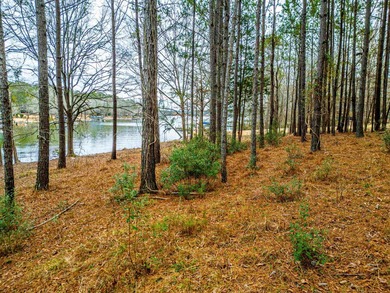 Rare opportunity to own a private, Lakefront, estate lot in - photo 12