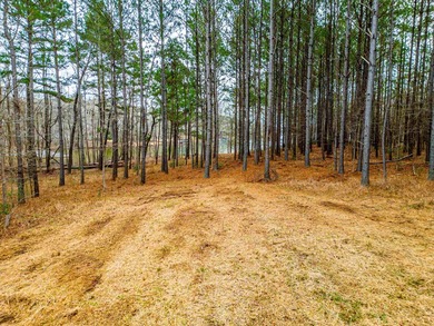 Rare opportunity to own a private, Lakefront, estate lot in - photo 20