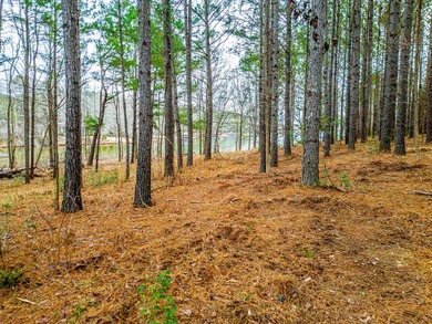 Rare opportunity to own a private, Lakefront, estate lot in - photo 21