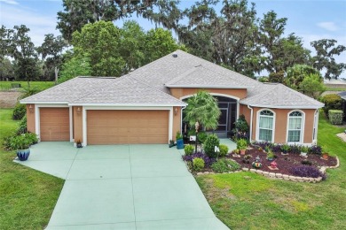 Lake Home For Sale in The Villages, Florida