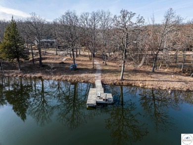 Lake Home For Sale in Warsaw, Missouri