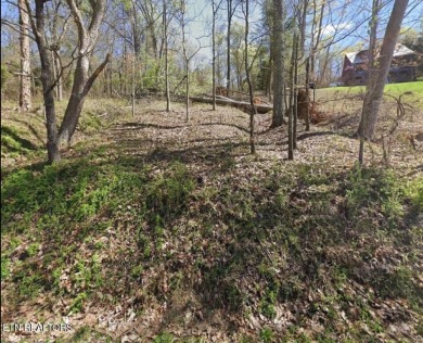 Lake Lot For Sale in Ten Mile, Tennessee